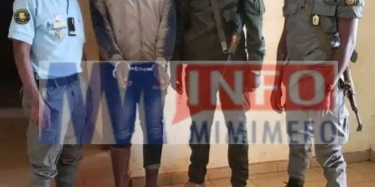 Ngambeche Ouchaou arrested for stabbing Pepouna Abdel