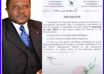 Jean Ernest Masséna Ngallè Bibéhè, Cameroon Minister of Transport