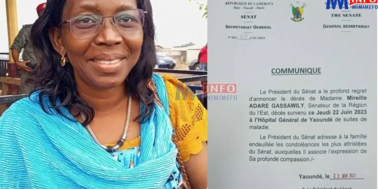 Senator Mireille Adaré Gassawily is no more