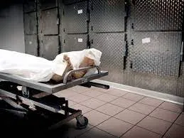 Morgue