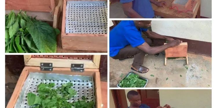 Young Inventor in Cameroon, Wirmbon Cedric Ndzeweiyi