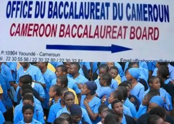 Cameroon Baccalaureat Board Releases 2023 Results, With An Average Pass Mark Of 8.50/20.