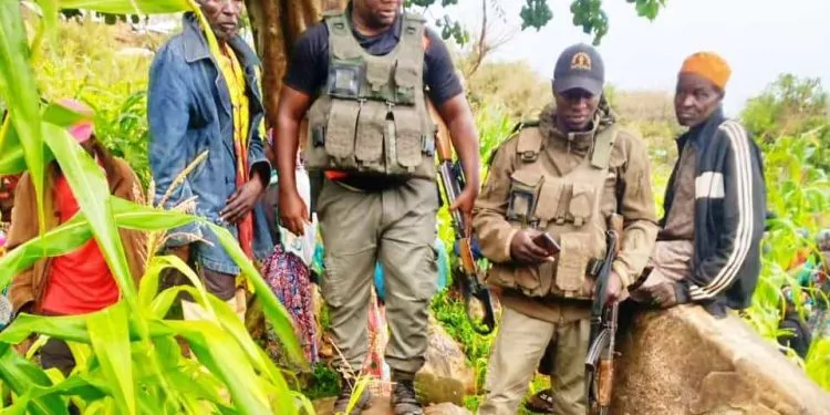 Boko Haram Fait Des Victimes Au Nord CMR