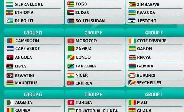 FIFA World Cup qualifier