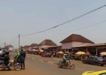 IMG 20230720 WA00591