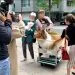 Japenese man turns to Dog named Toco