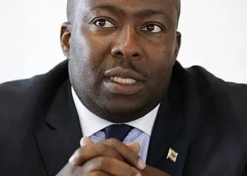 Saviour Kasukuwere, a former Zimbabwean government minister