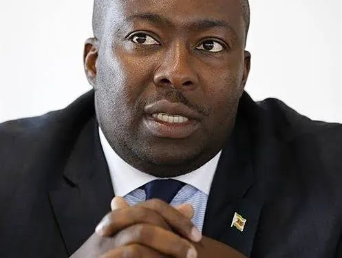 Saviour Kasukuwere, a former Zimbabwean government minister