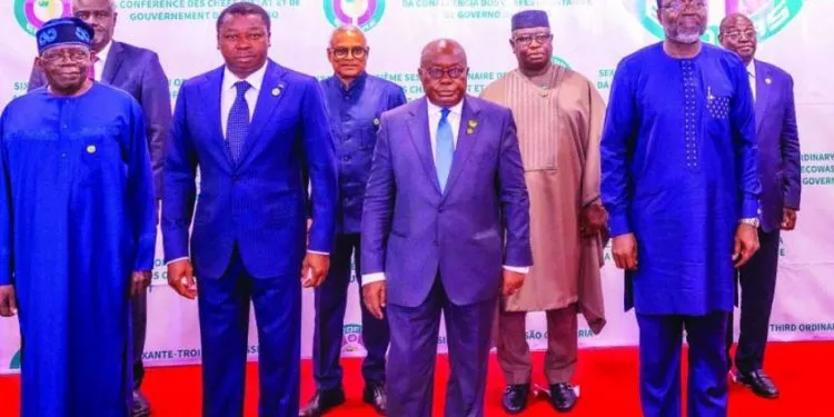 Niger: West African leaders threaten to use against coup plotters