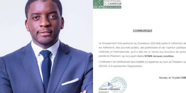 Nyemb Jacques Jonathan, dismissed from GICAM