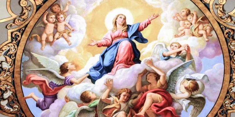 Assumption HERO Image