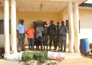 Couple Arrested For Trafficking