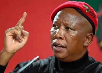 Julius Malema urges Cameroon to sit up after coups in Gabon and Niger.