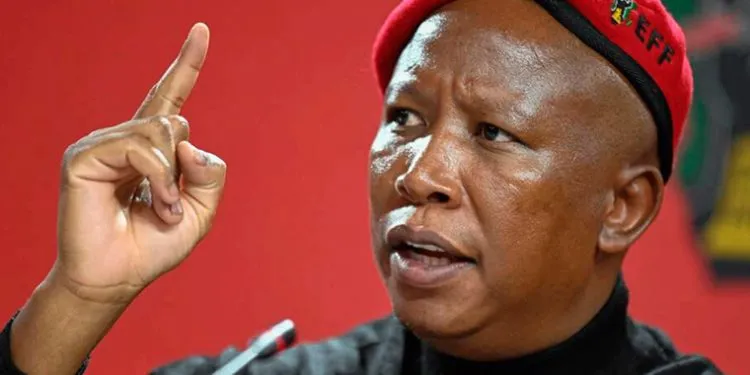 Julius Malema urges Cameroon to sit up after coups in Gabon and Niger.