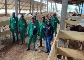 Kam Ferme De Nana Bouba Amadoua Et Son Staff 1024x577 1