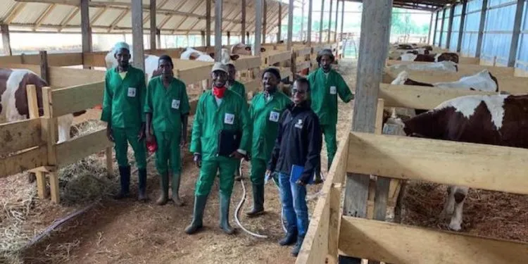 Kam Ferme De Nana Bouba Amadoua Et Son Staff 1024x577 1