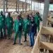 Kam Ferme De Nana Bouba Amadoua Et Son Staff 1024x577 1
