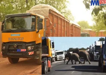 Laïnde accident as Sodecoton Truck avoids Elephants on the road