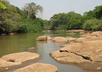 abandoned baby found dead in Cameroon stream