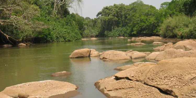 abandoned baby found dead in Cameroon stream