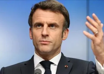 French ambassador still in Niger stays
