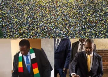 Zimbabweans vote for new president