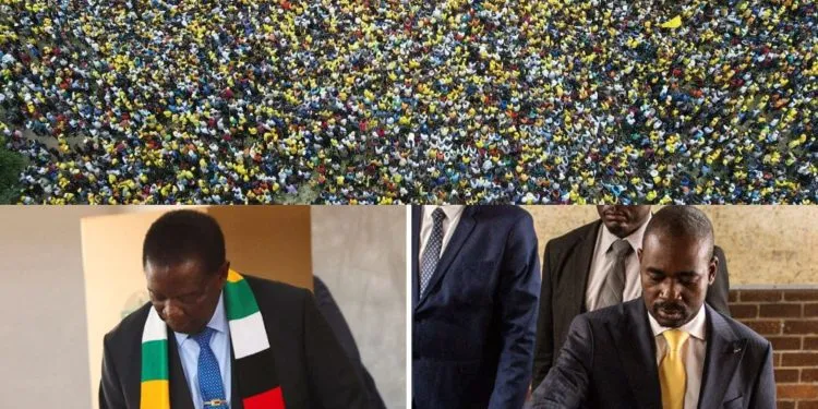 Zimbabweans vote for new president