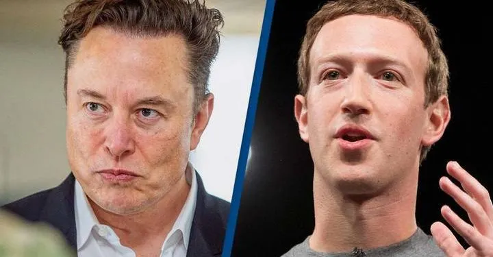 Musk calls Zuckerburg a 'chicken' for denying cage fight