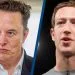 Musk calls Zuckerburg a 'chicken' for denying cage fight