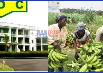 CDC Workers demanding unpaid salaries amid school resumption pressures
