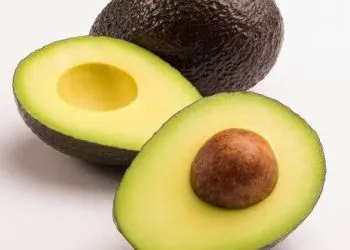 Avocado wine production company launched in Cameroon.