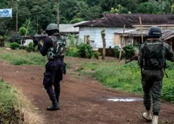 File image of Gendarmes in a local community in Cameroon