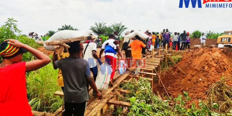 Ndop - Bamenda Road - North West Region, Cameroon 9
