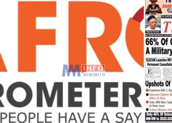 What the Afrobarometer survey on Cameroonians perception of coup in the country