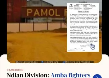 Separatists reportedly kill four at Pamol's Lobe Estate