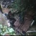 Bad Roads Bamenda