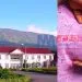 Breast Cancer Awareness Month - Pink October in Buea Regional Hospital