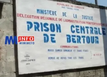 Bertoua