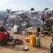 Camp Refugies Nigerians Cameroun