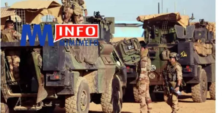 situation au Niger