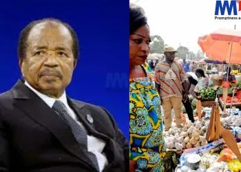 Cameroon's economy has been on a steady decline under Biya