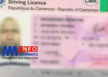 permis de conduire