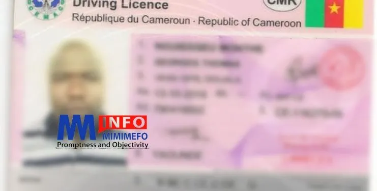 permis de conduire