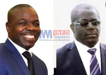 Amougou Belinga et Maxime Eko Eko libérés