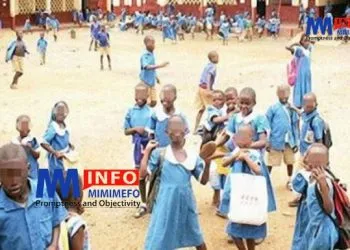 Education de base