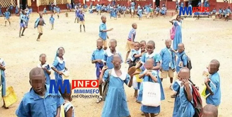 Education de base