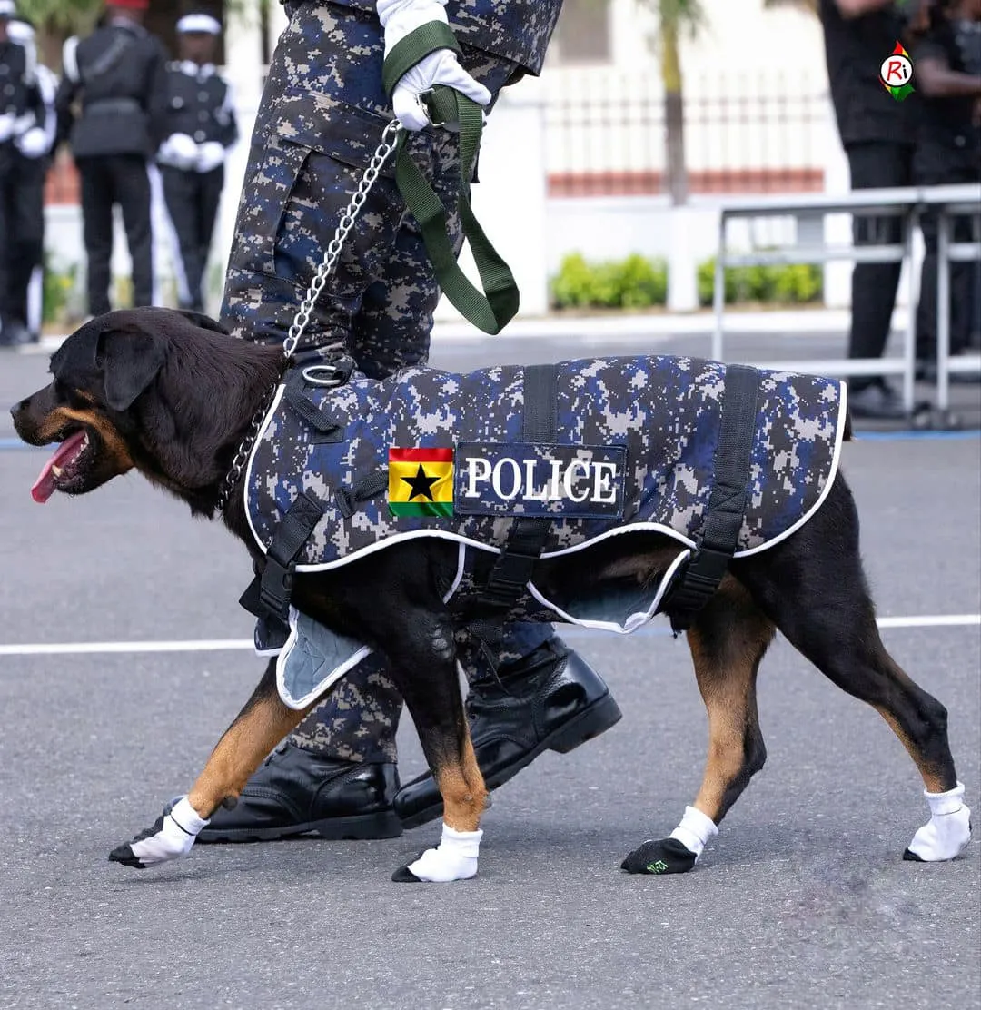 Ghana Police1