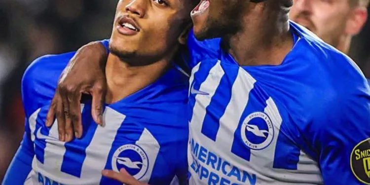 Spurs Champions League dreams suffer setback with Brighton defeat