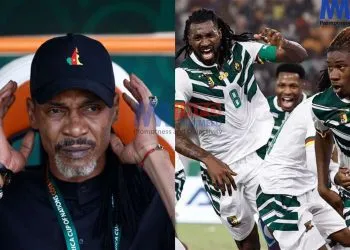 Who is to blame for the Lions' poor performance at the AFCON
