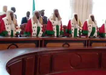 Conseil Constitionnel 1